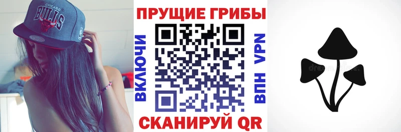 Псилоцибиновые грибы Magic Shrooms  продажа наркотиков  Узловая 