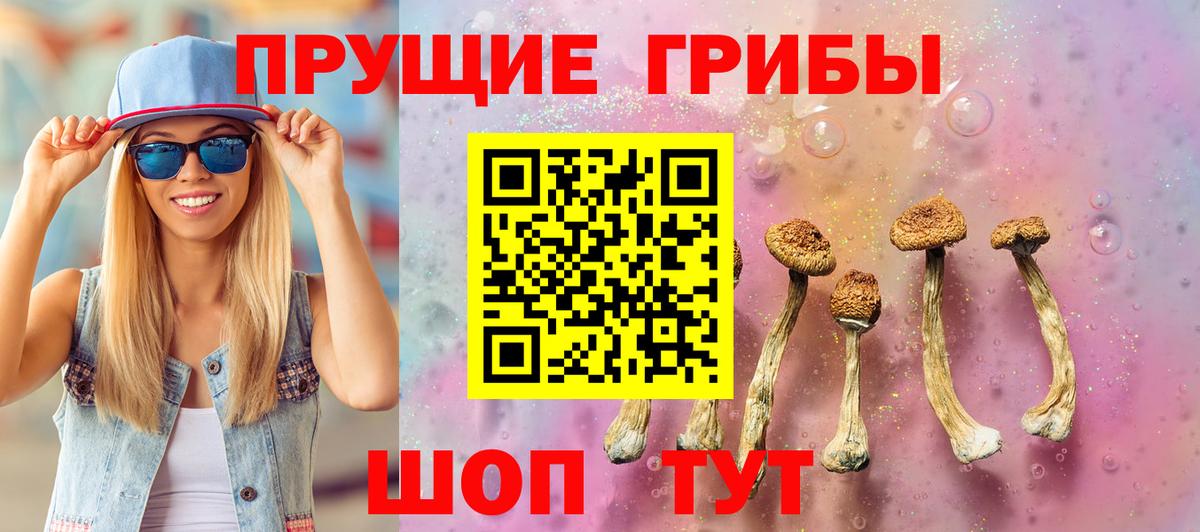 Галлюциногенные грибы Psilocybe  Вход с VPN  Узловая 