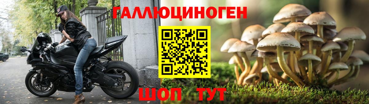 Галлюциногенные грибы MAGIC MUSHROOMS Узловая